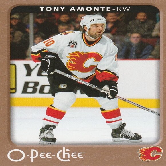 Tony Amonte Hockey Card Collection - Picture 2 of 4